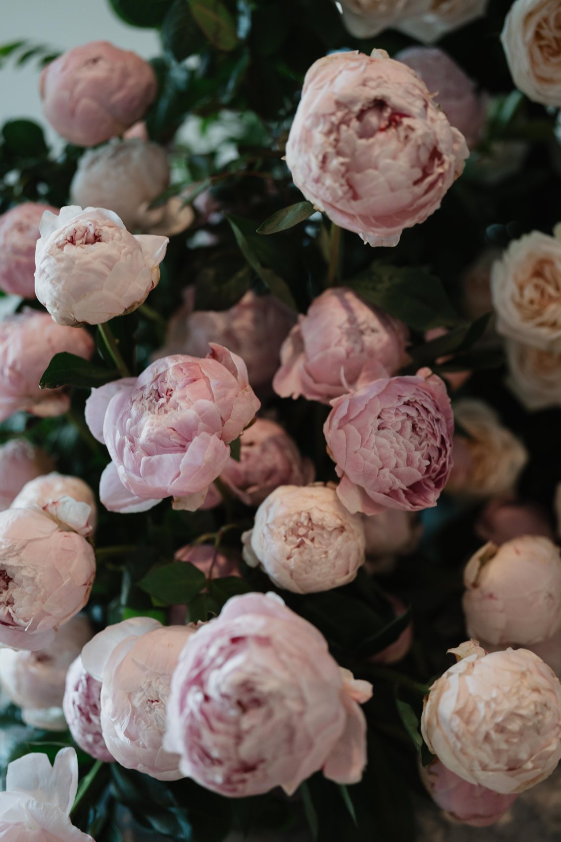 Jasmine Sokarno photography